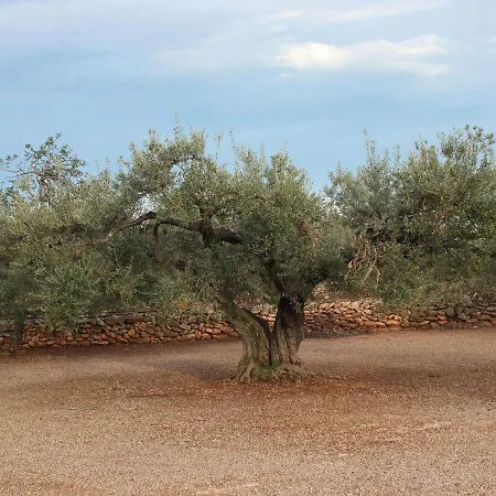 Holiday home Belvilla By Oyo Finca Casa Filou L'Ampolla